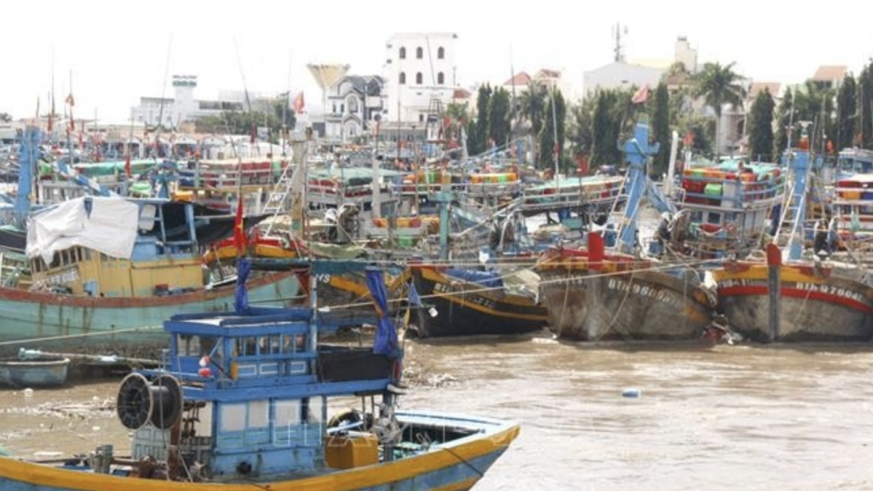 Mekong Delta provinces step up crackdown on IUU fishing